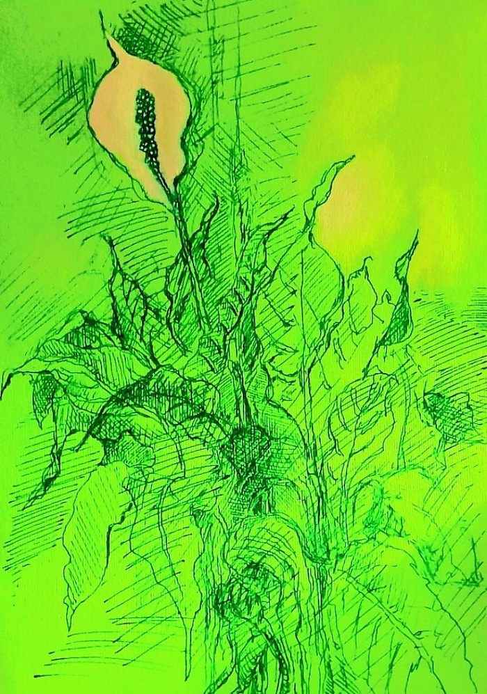 A study of a 